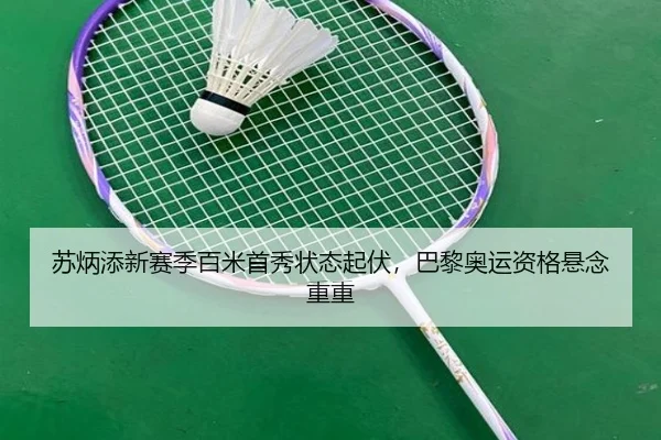 su-bing-tian-xin-sai-ji-bai-mi-shou-xiu-zhuang-tai-qi-fu-ba-li-ao-yun-zi-ge-xuan-nian-chong-chong-3-636.jpg